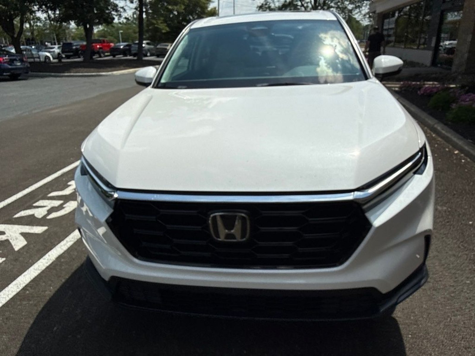Used 2024 Honda CR-V EX image 4