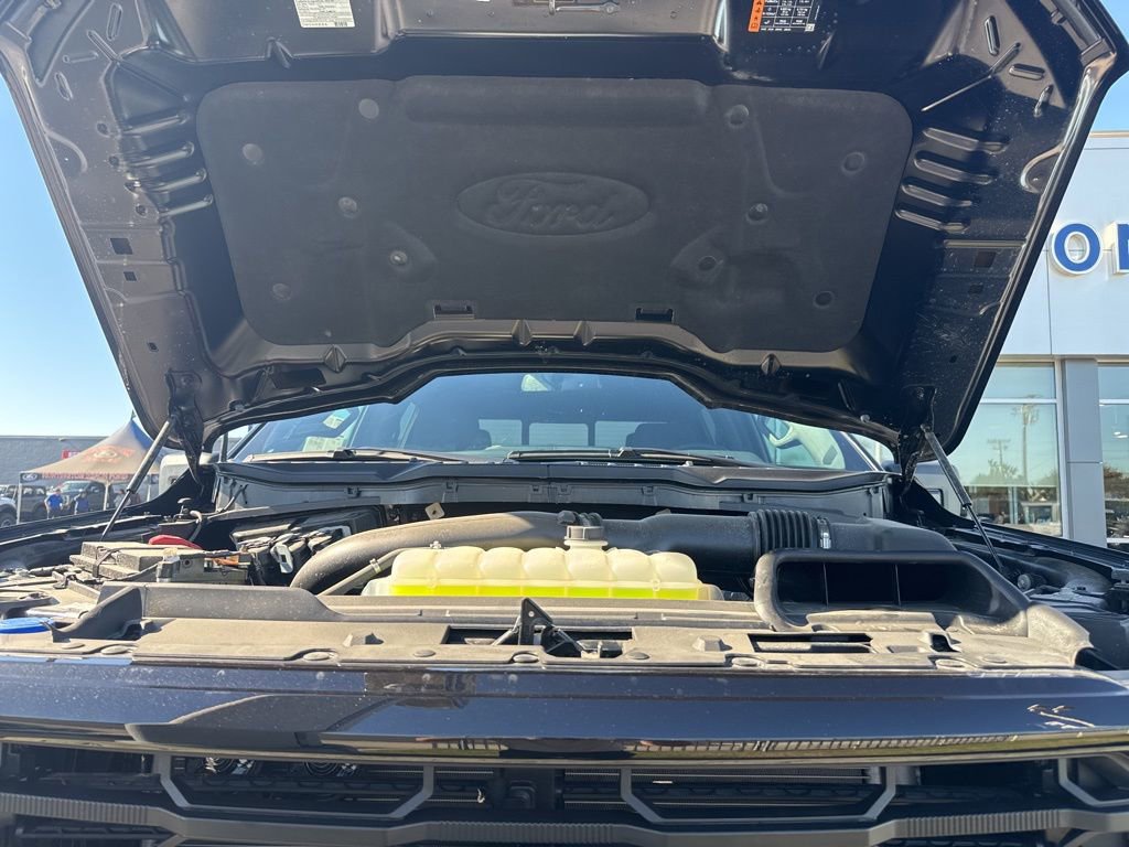 Used 2025 Ford F150 XLT w/ Equipment Group 302A MID image 26
