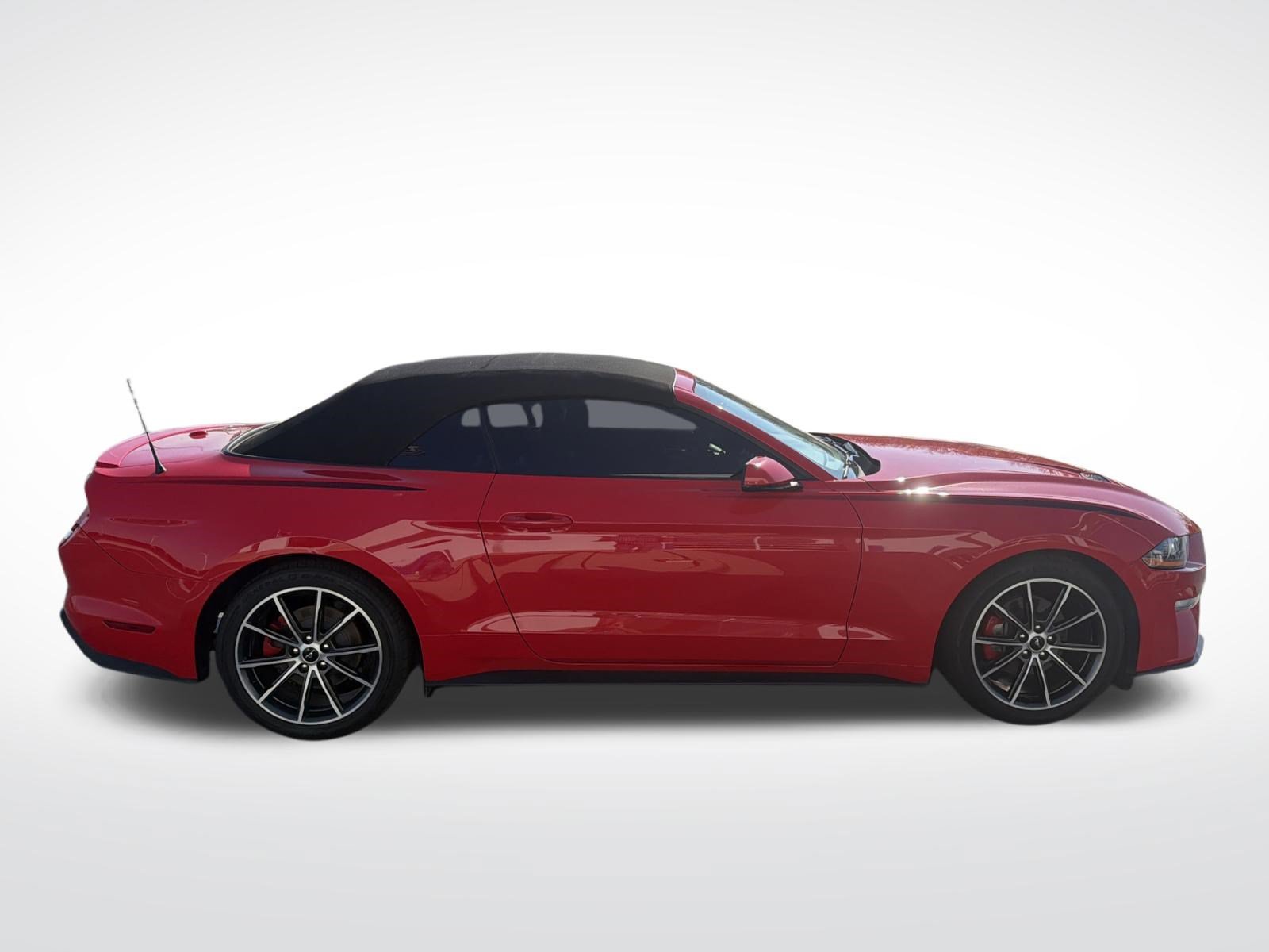 Used 2019 Ford Mustang Premium w/ Equipment Group 201A RWD image 8