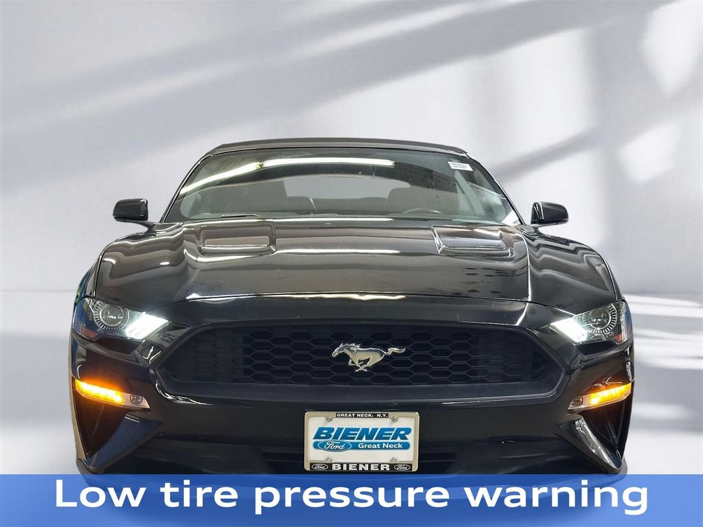 Used 2019 Ford Mustang Premium RWD image 23