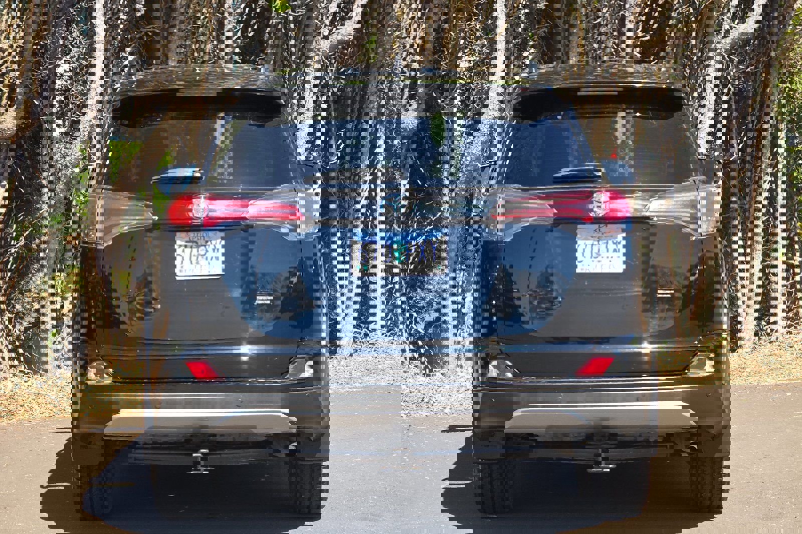 Used 2018 Toyota RAV4 Adventure image 5