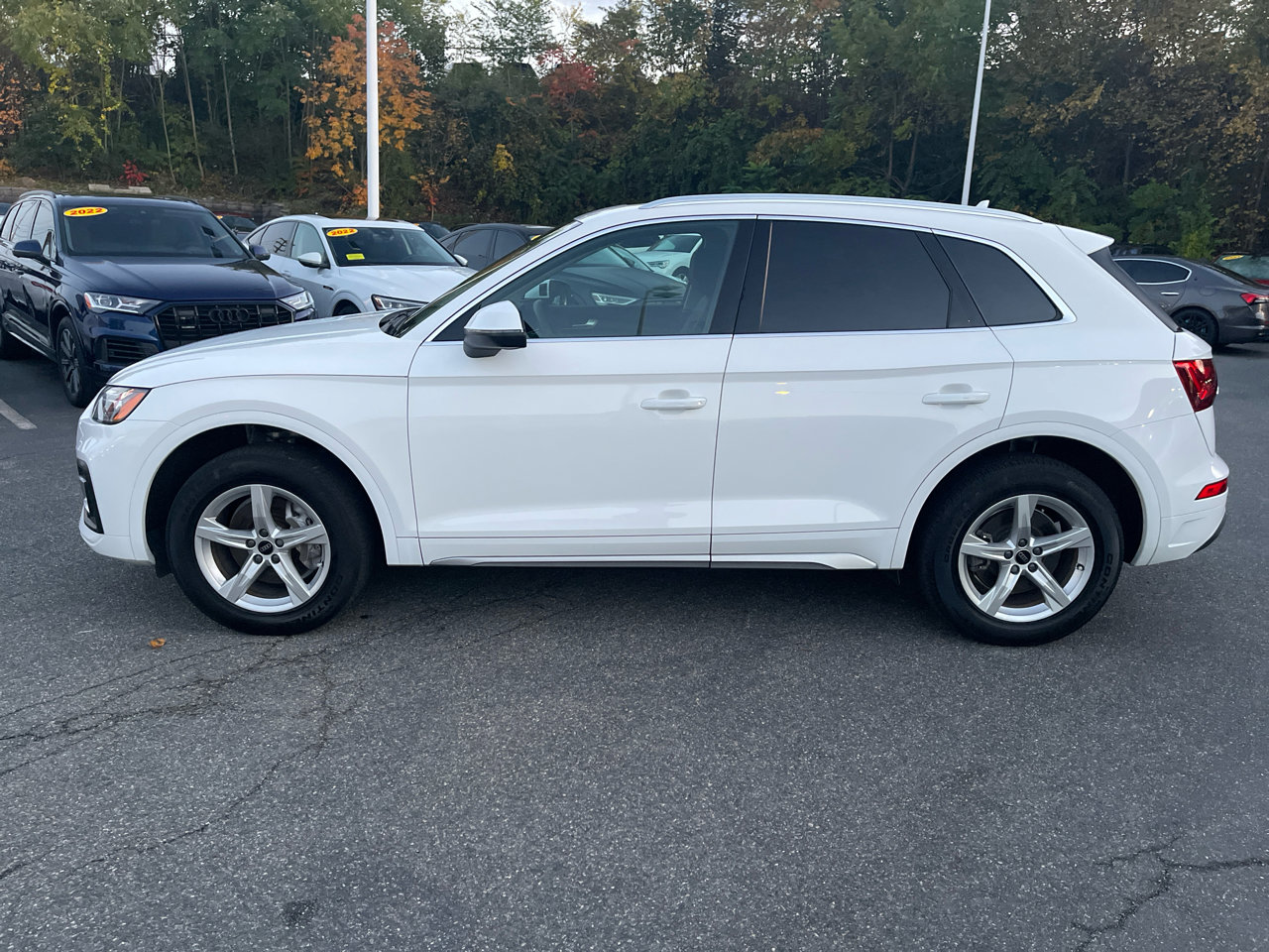Used 2023 Audi Q5 2.0T Premium w/ Convenience Package image 8