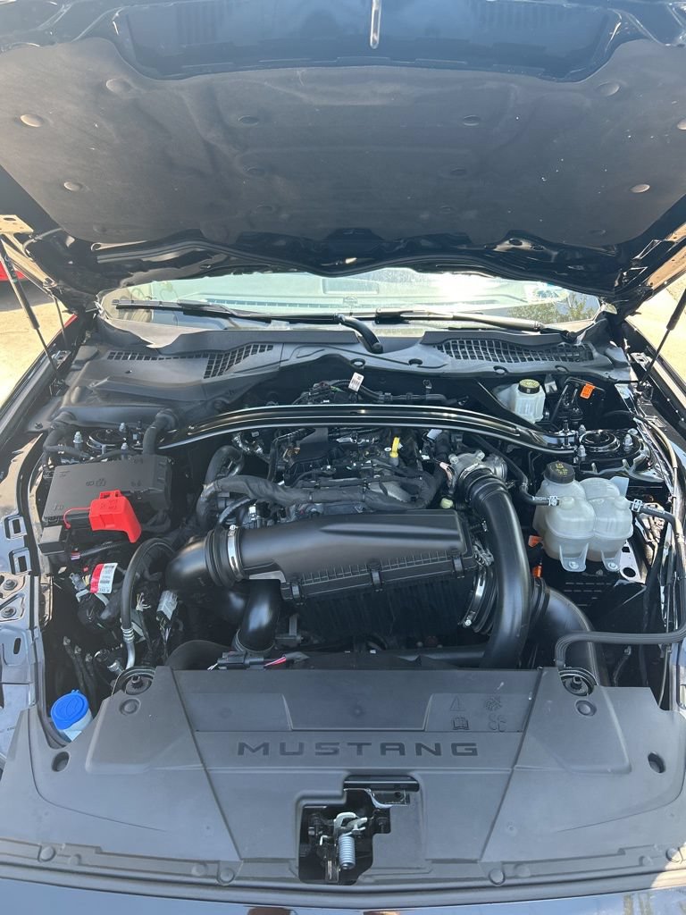 Used 2025 Ford Mustang Premium RWD image 7