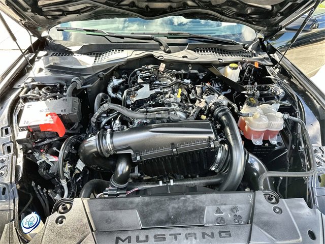 Used 2024 Ford Mustang Premium image 18