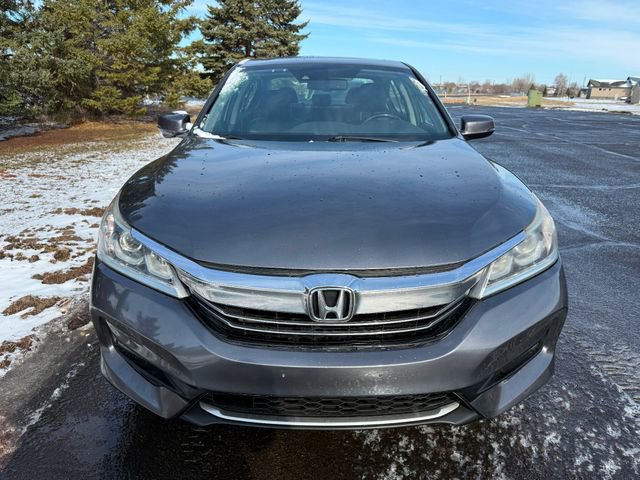 Used 2017 Honda Accord EX-L image 4