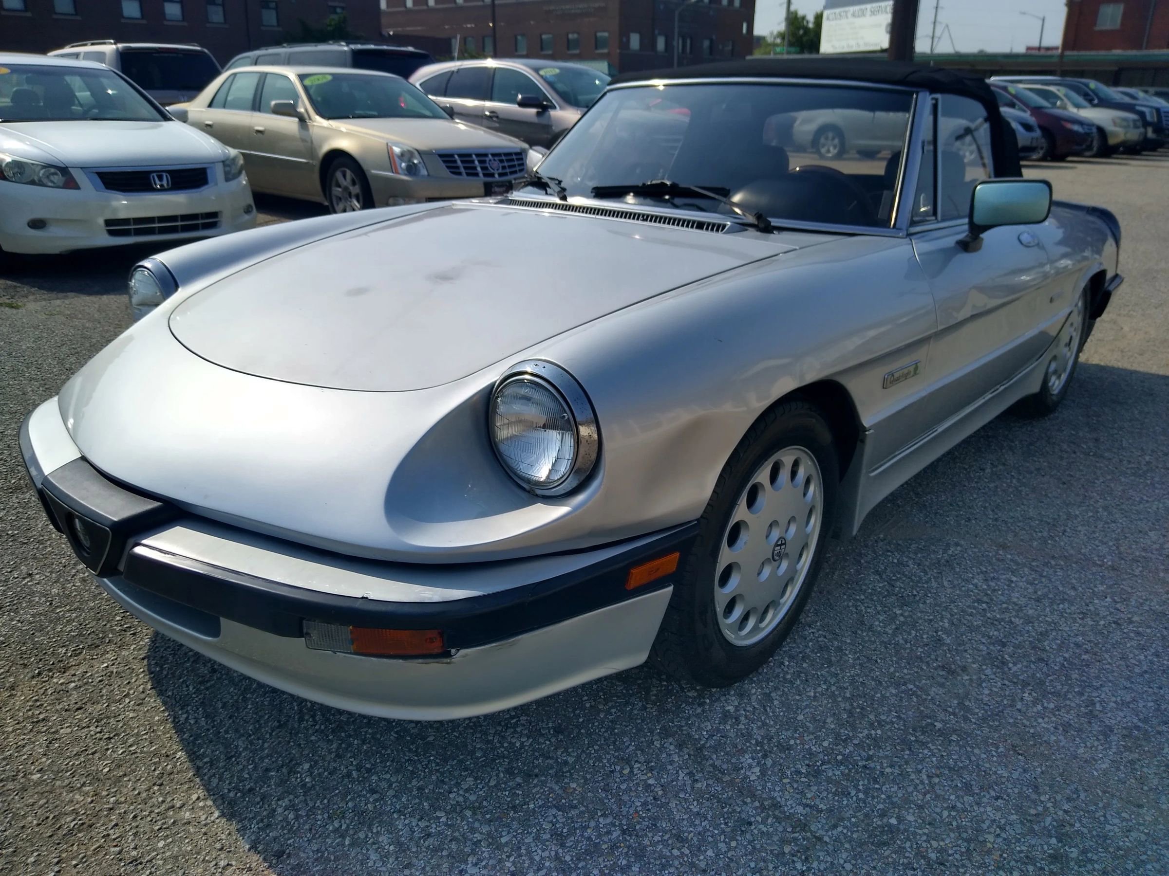 Used 1988 Alfa Romeo Spider Quadrifoglio image 8