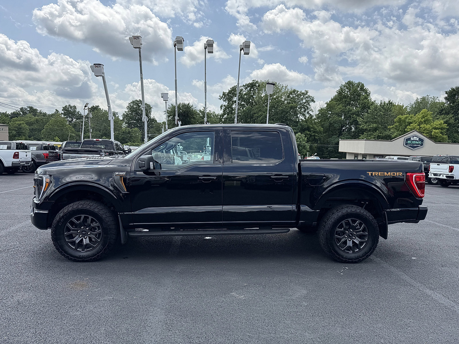 Used 2023 Ford F150 Tremor image 6