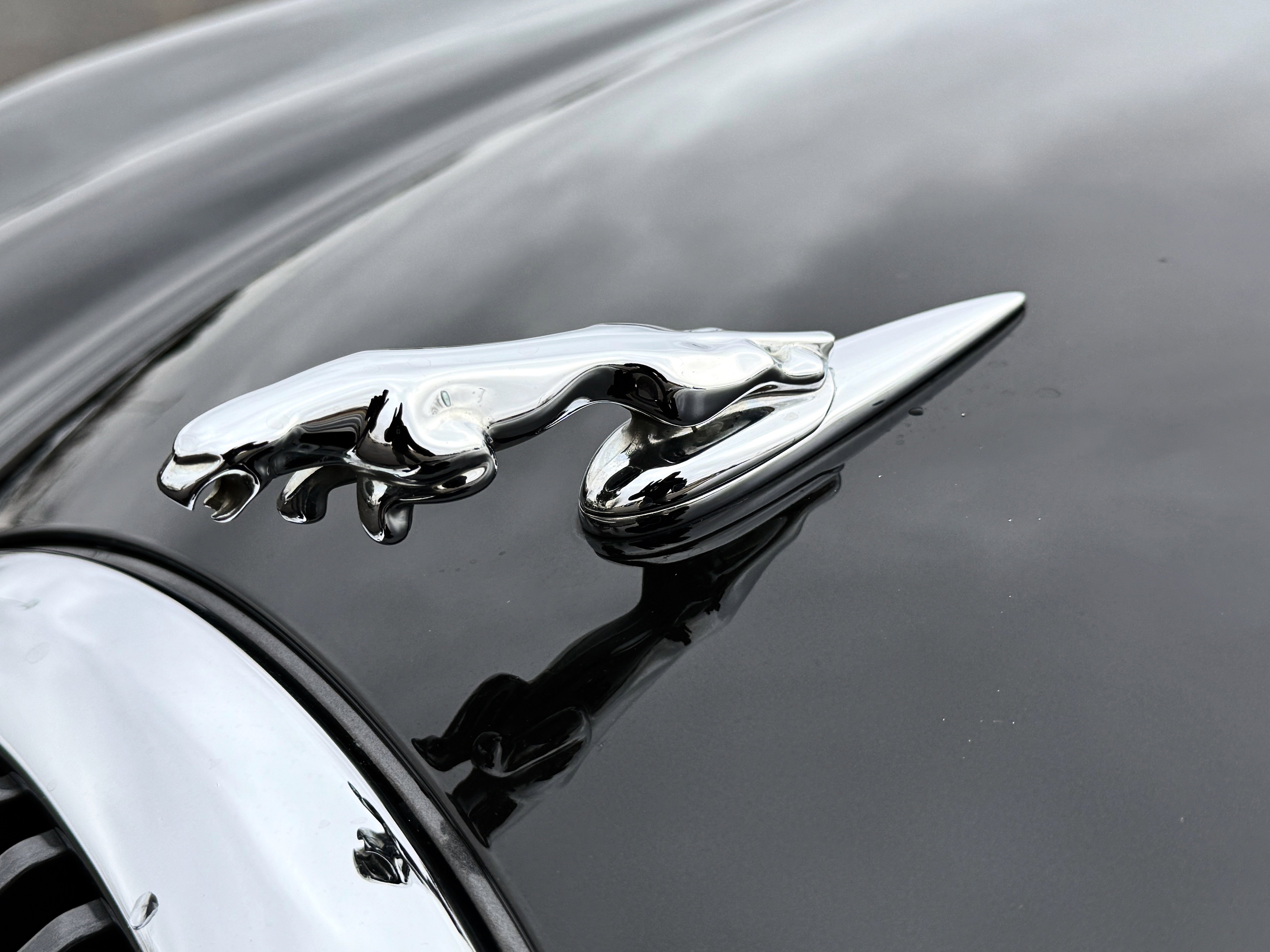 Used 2001 Jaguar S-TYPE 4.0 image 16