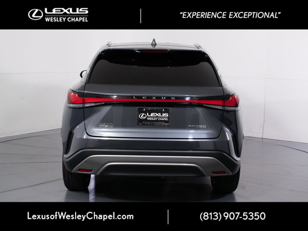 Used 2024 Lexus RX 350 FWD image 5