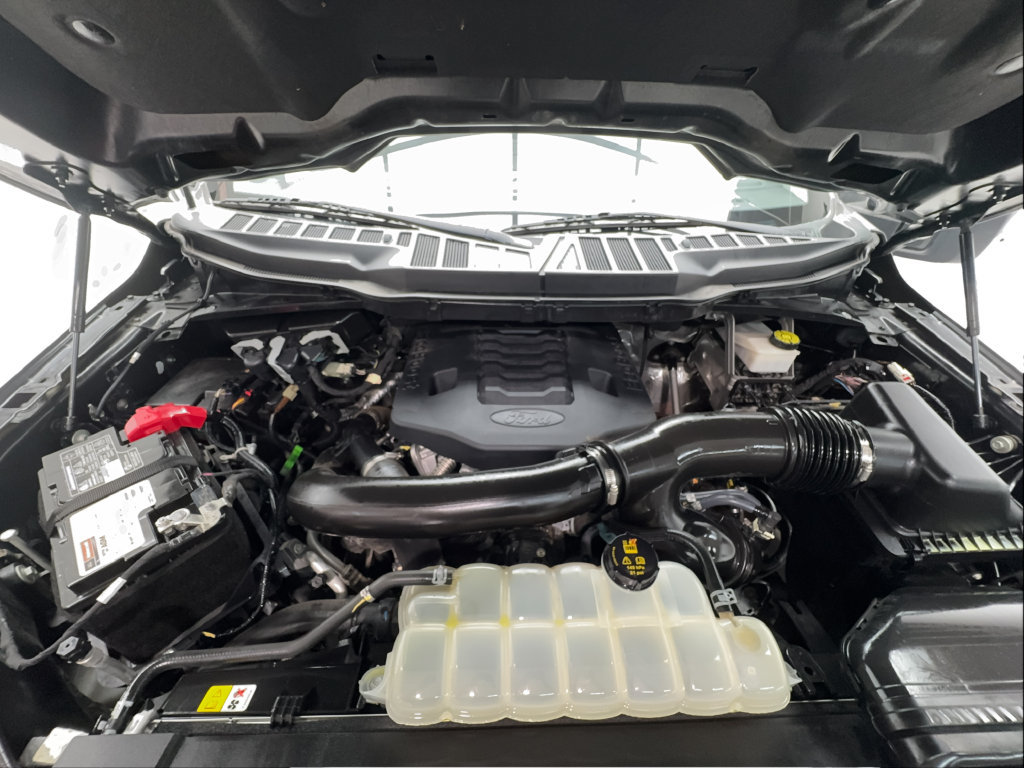 Used 2023 Ford F150 XLT w/ Equipment Group 302A High AWD/4WD image 21