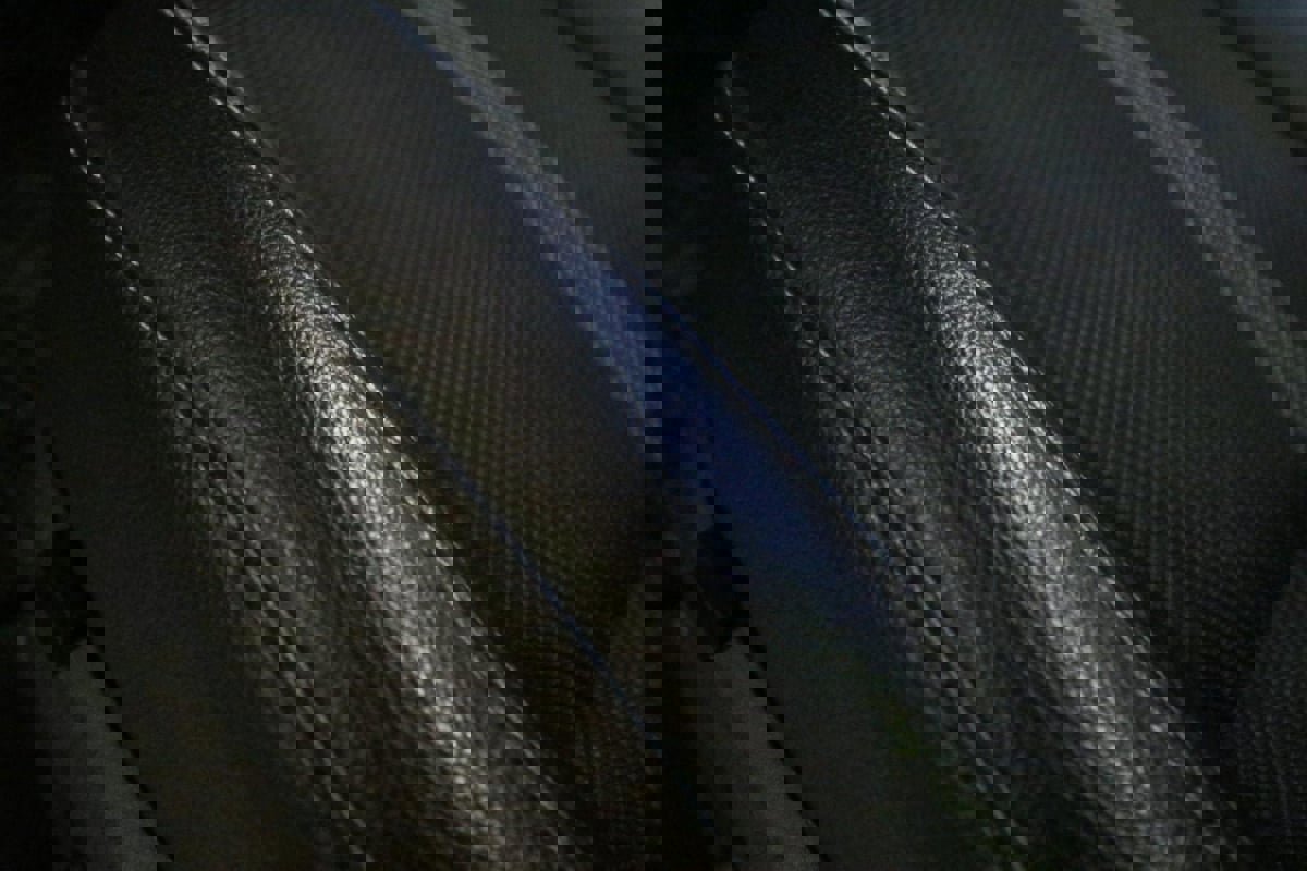 Used 2023 MAZDA CX-50 2.5 S w/ Cargo Package image 15