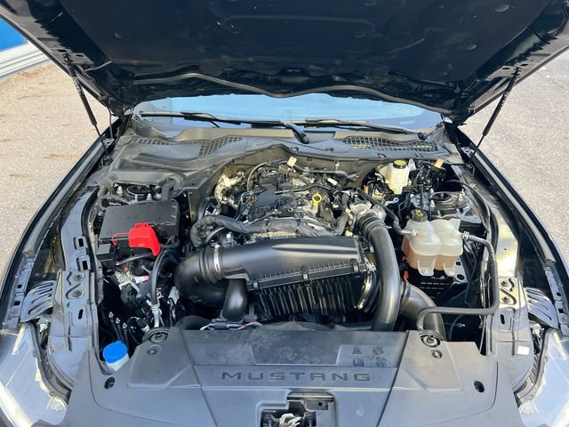 Used 2024 Ford Mustang Coupe image 19