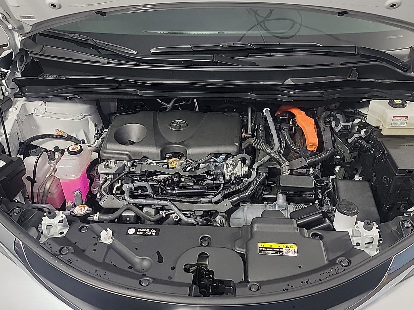 Used 2025 Toyota Sienna XLE w/ XLE Plus Package AWD/4WD image 16