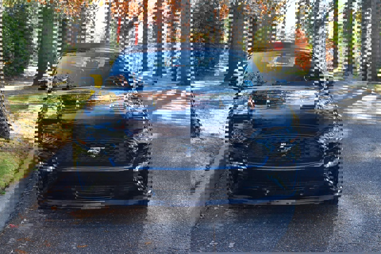 Used 2019 Ford Mustang Premium image 15