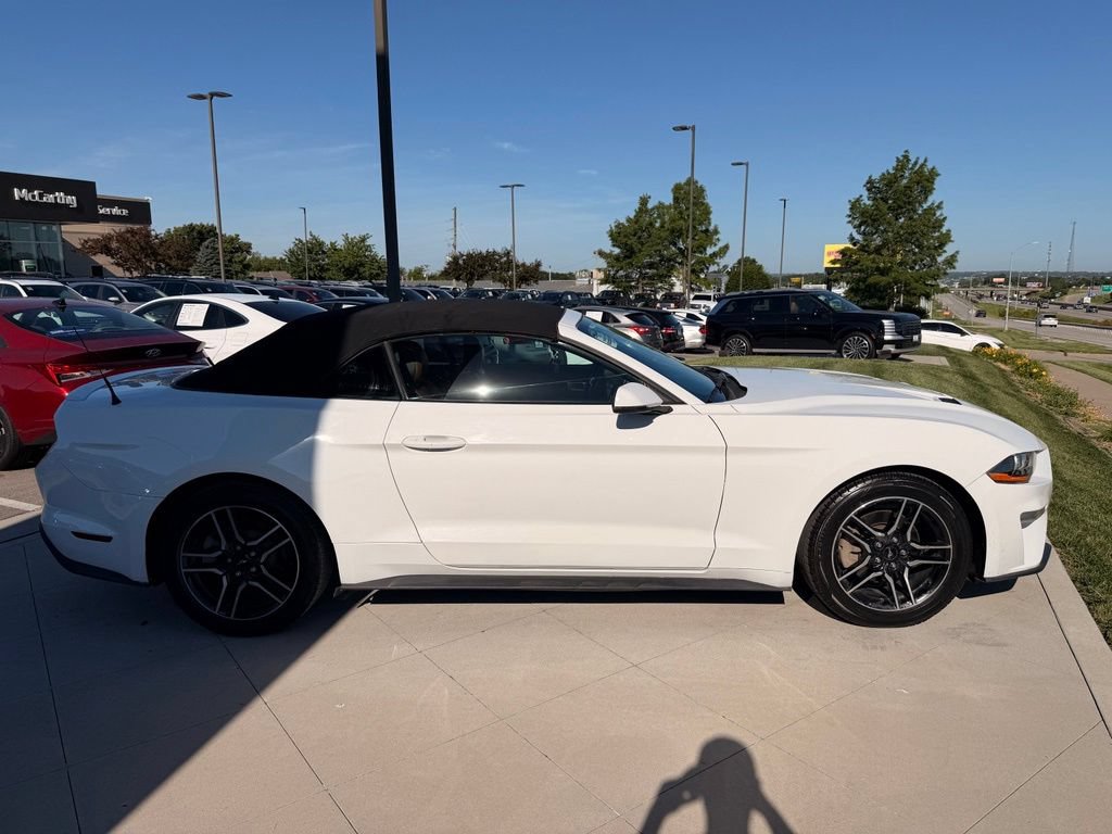 Used 2019 Ford Mustang Premium RWD image 10