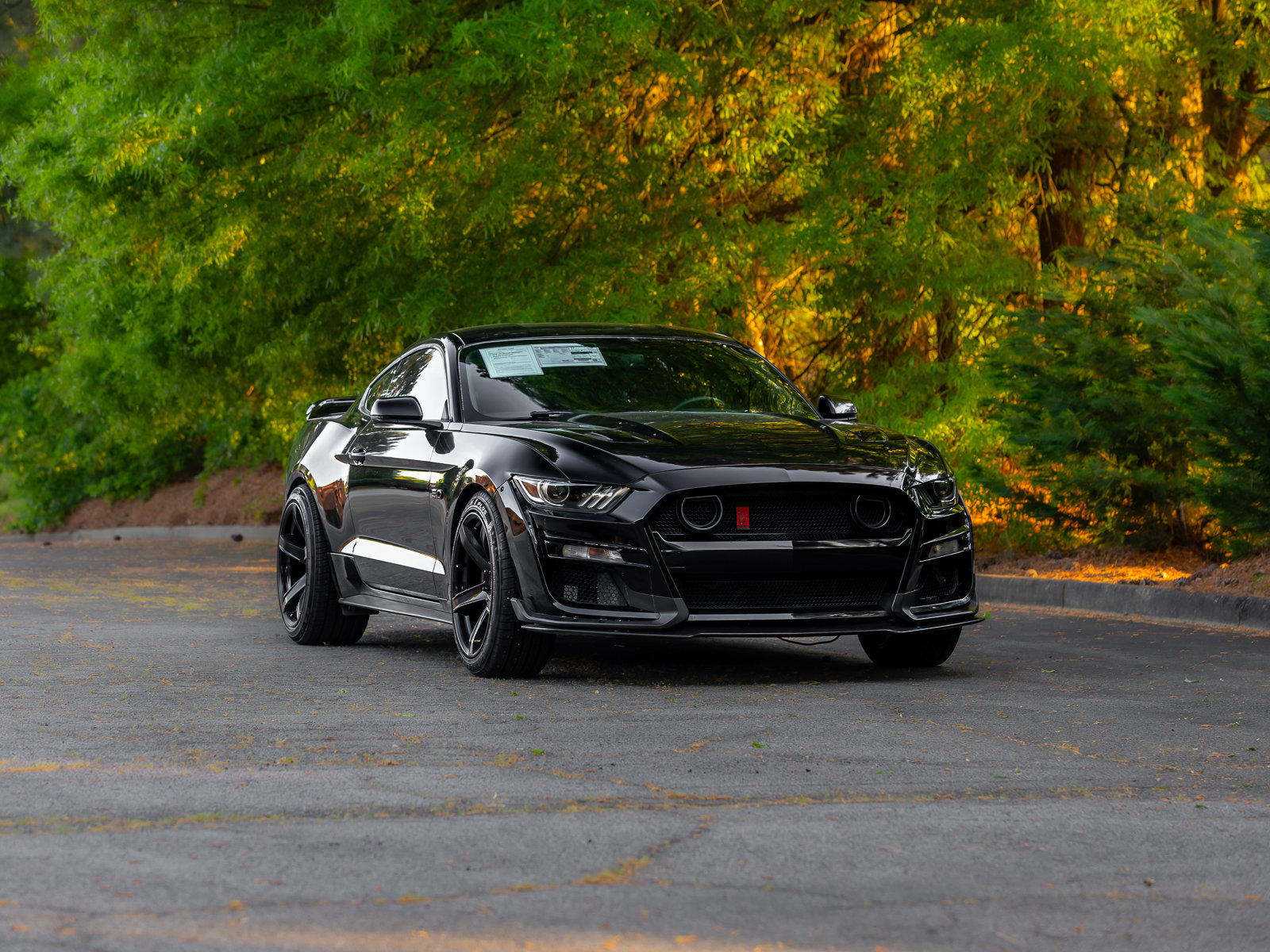 Used 2017 Ford Mustang GT Premium w/ GT Performance Package RWD image 40