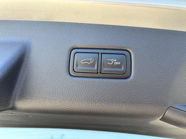 New 2025 Kia Carnival SX FWD image 5