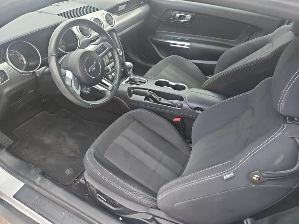 Used 2019 Ford Mustang Coupe w/ Equipment Group 101A RWD image 14