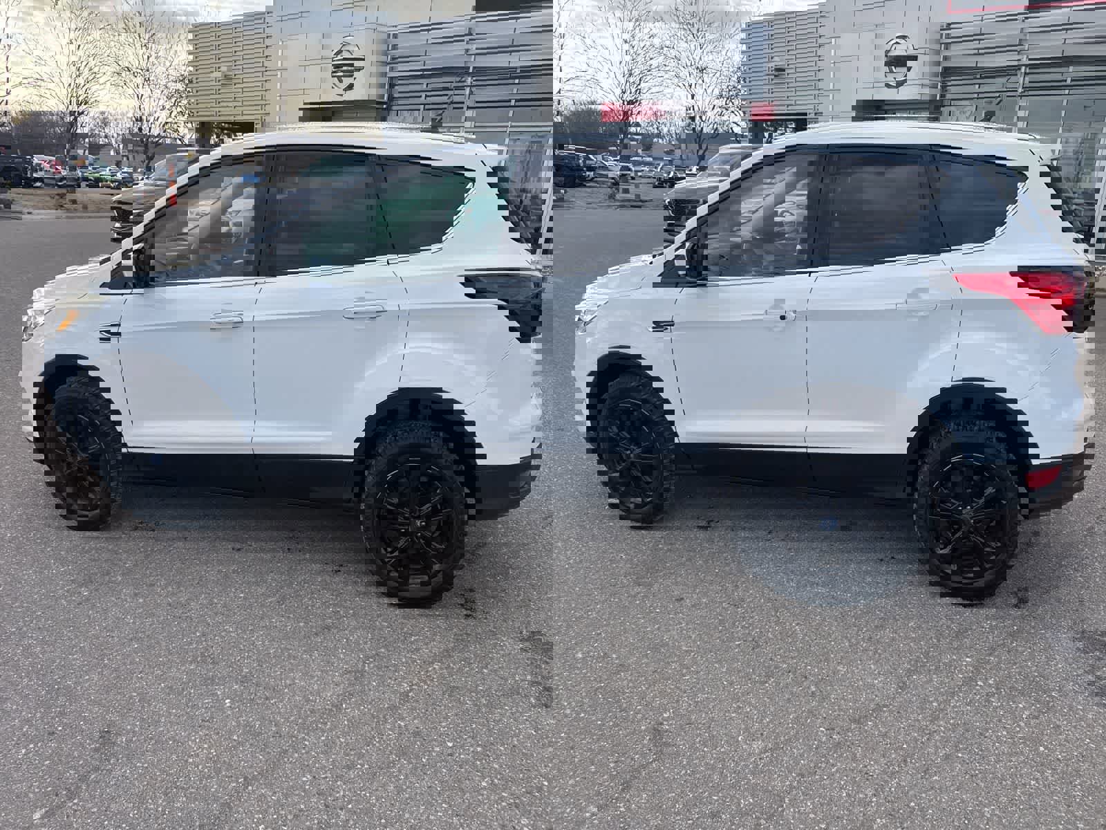 Used 2019 Ford Escape SE image 8