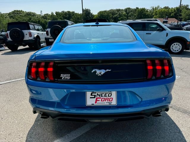 Used 2021 Ford Mustang EcoBoost image 6