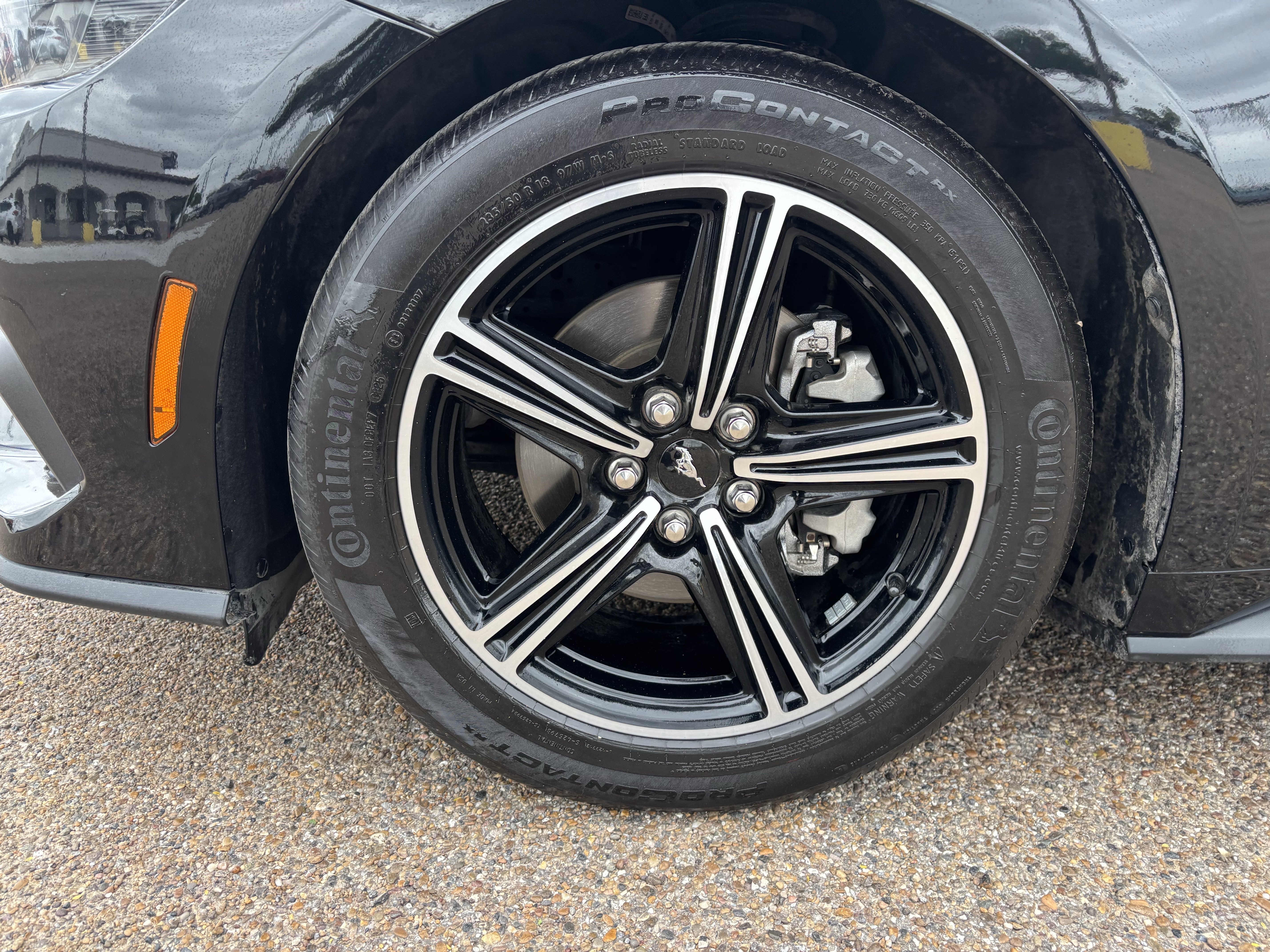 Certified 2025 Ford Mustang Coupe RWD image 9