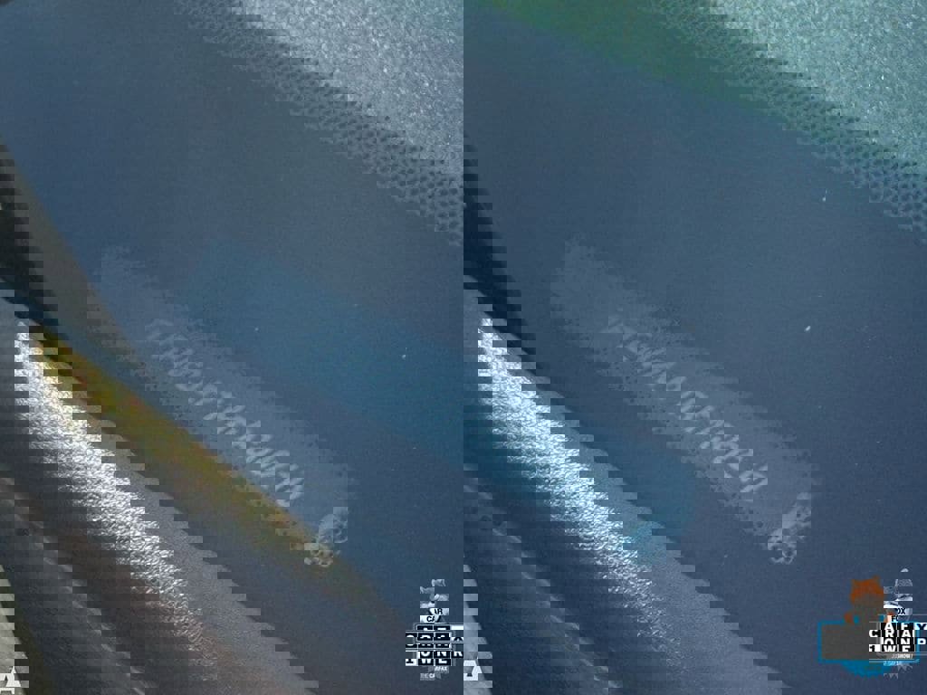 Used 2024 Ford F150 STX image 12