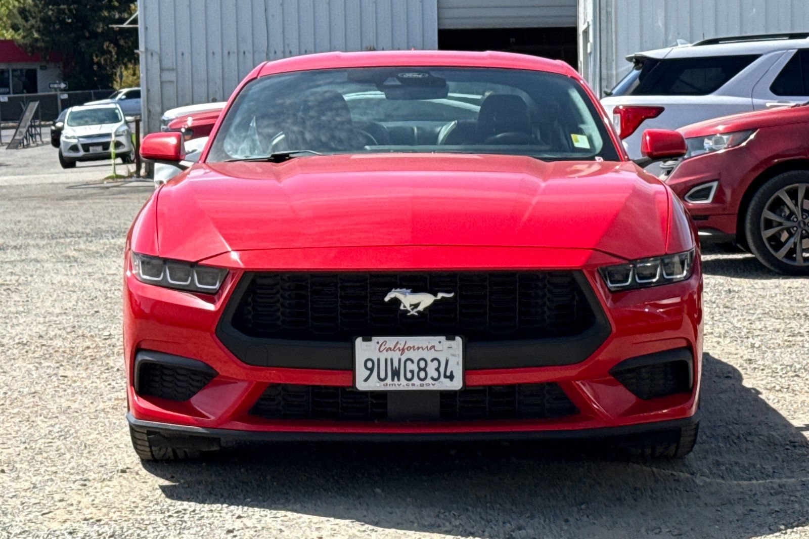 Certified 2024 Ford Mustang Premium RWD image 11