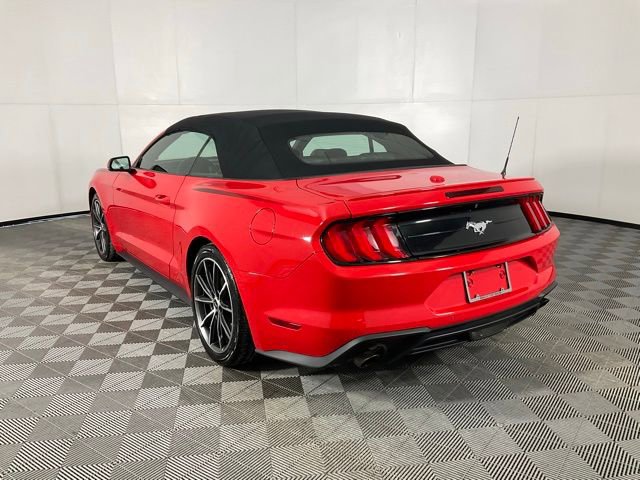 Used 2019 Ford Mustang Premium w/ Equipment Group 201A image 4