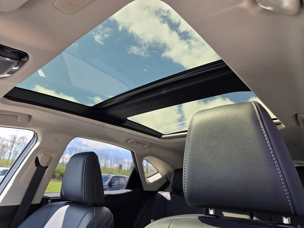 Used 2025 Lexus NX 350h AWD w/ Cold Area Package image 9