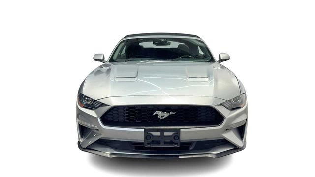 Used 2022 Ford Mustang Premium RWD image 6