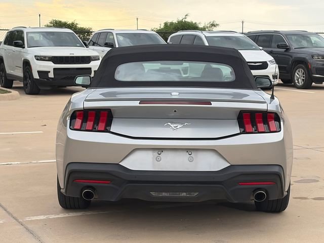 Used 2024 Ford Mustang Premium image 8