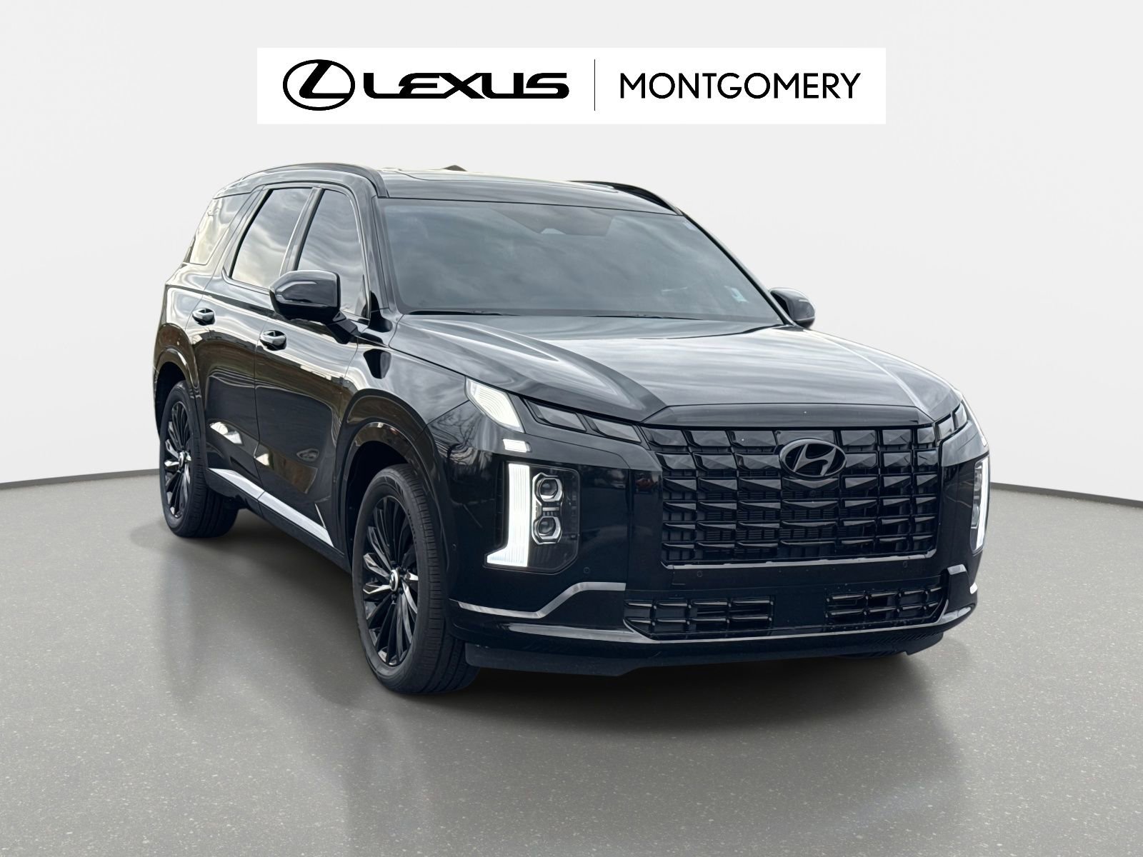 Used 2024 Hyundai Palisade Calligraphy 360° Tour