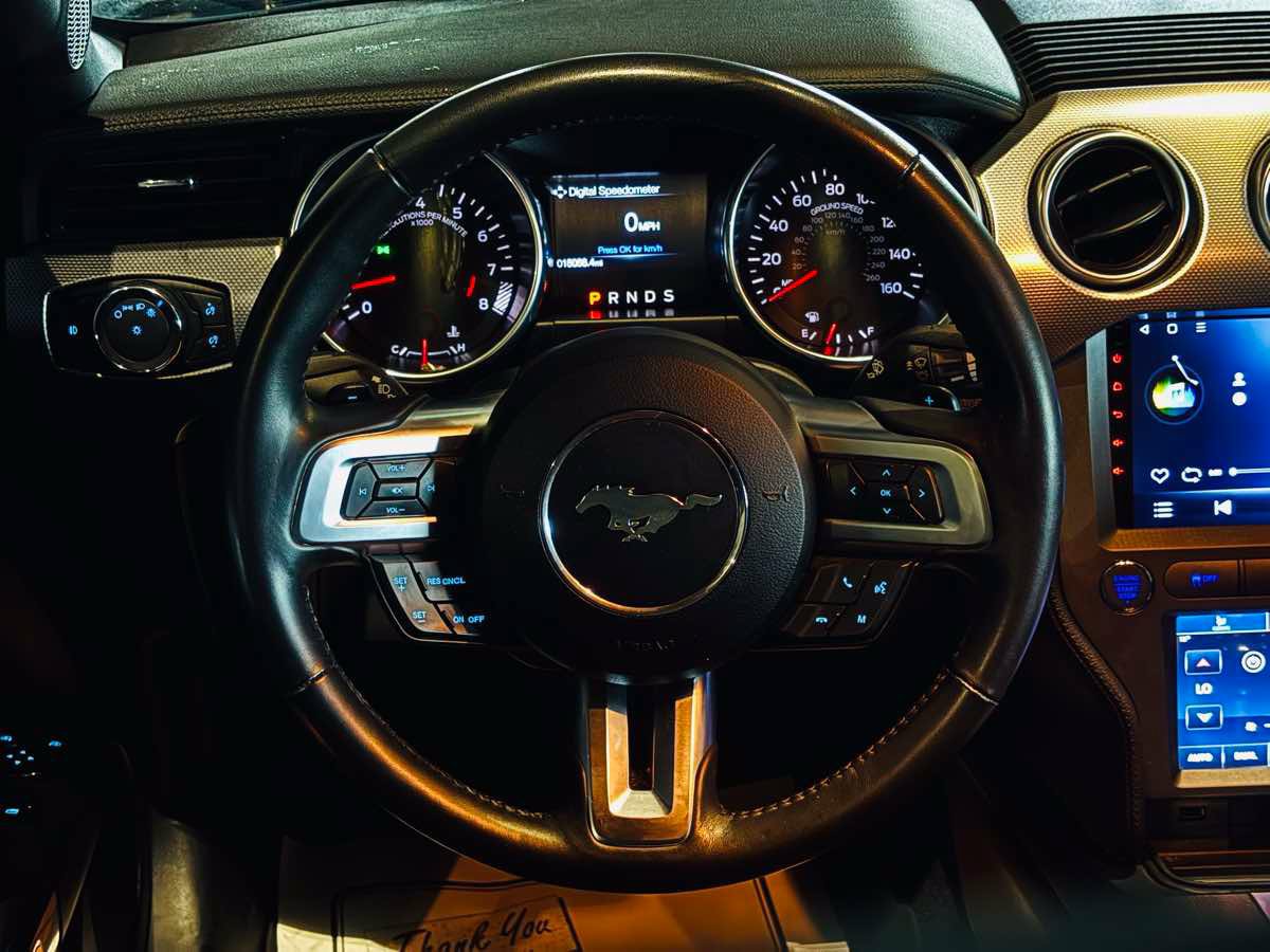 Used 2019 Ford Mustang GT RWD image 44