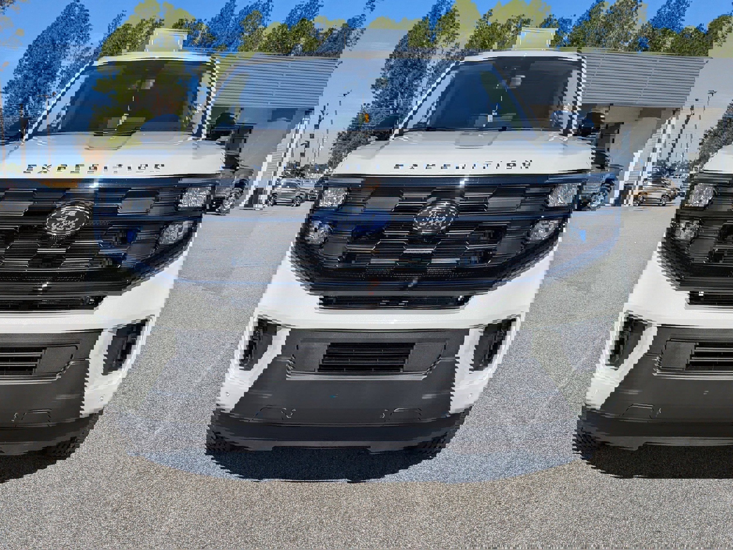 New 2025 Ford Expedition Active image 9