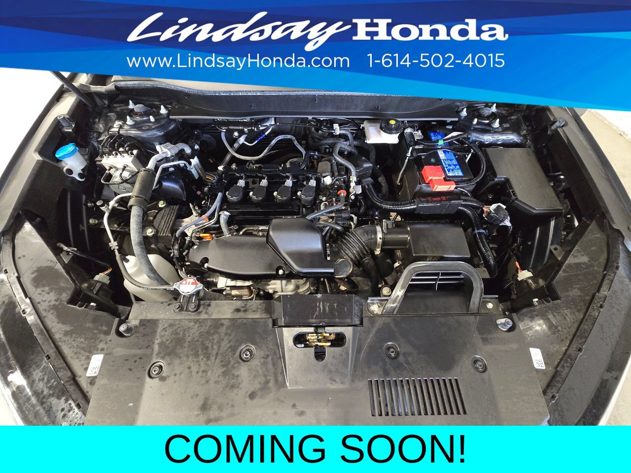 Used 2025 Honda CR-V LX image 25