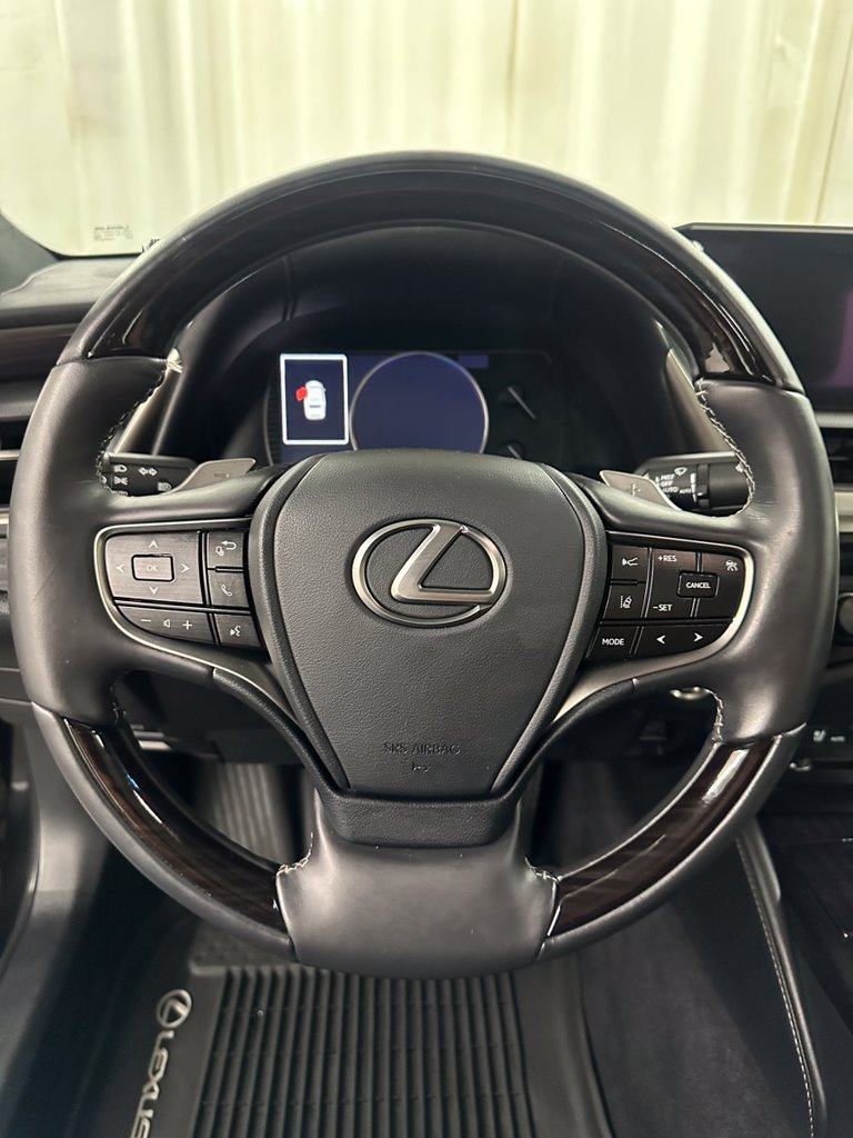 Used 2019 Lexus ES 350 w/ Accessory Package 2 FWD image 16