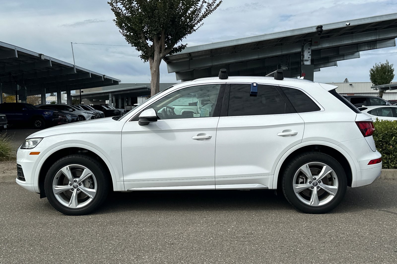 Used 2020 Audi Q5 2.0T Premium Plus w/ Premium Plus Package AWD/4WD image 7