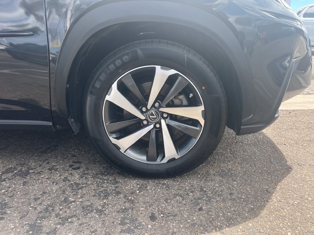 Used 2019 Lexus NX 300h AWD w/ Premium Package image 44