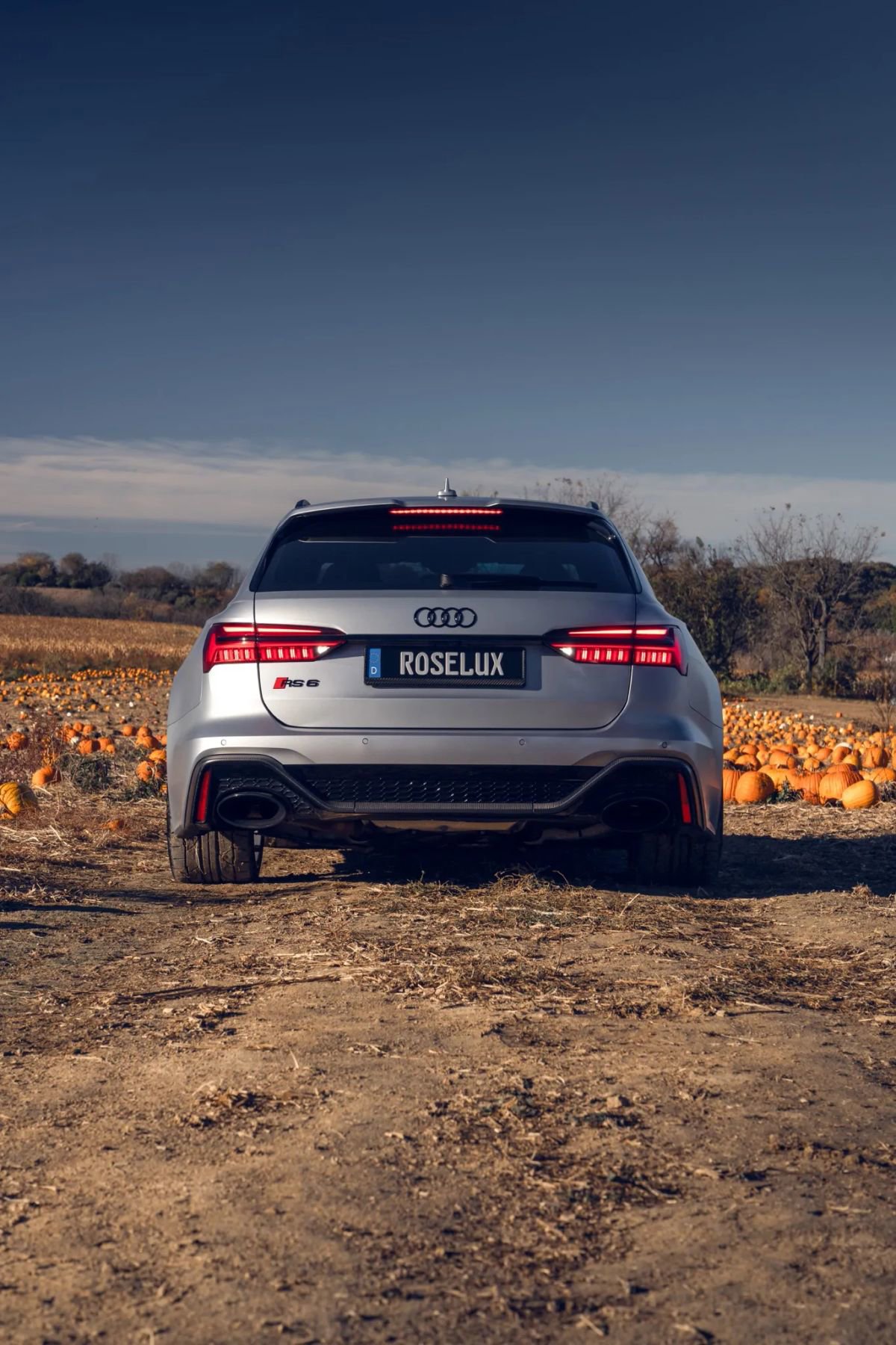 Used 2024 Audi RS 6 performance image 19