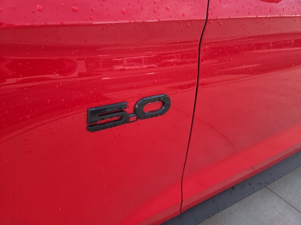 Used 2019 Ford Mustang GT Premium w/ Equipment Group 401A RWD image 3
