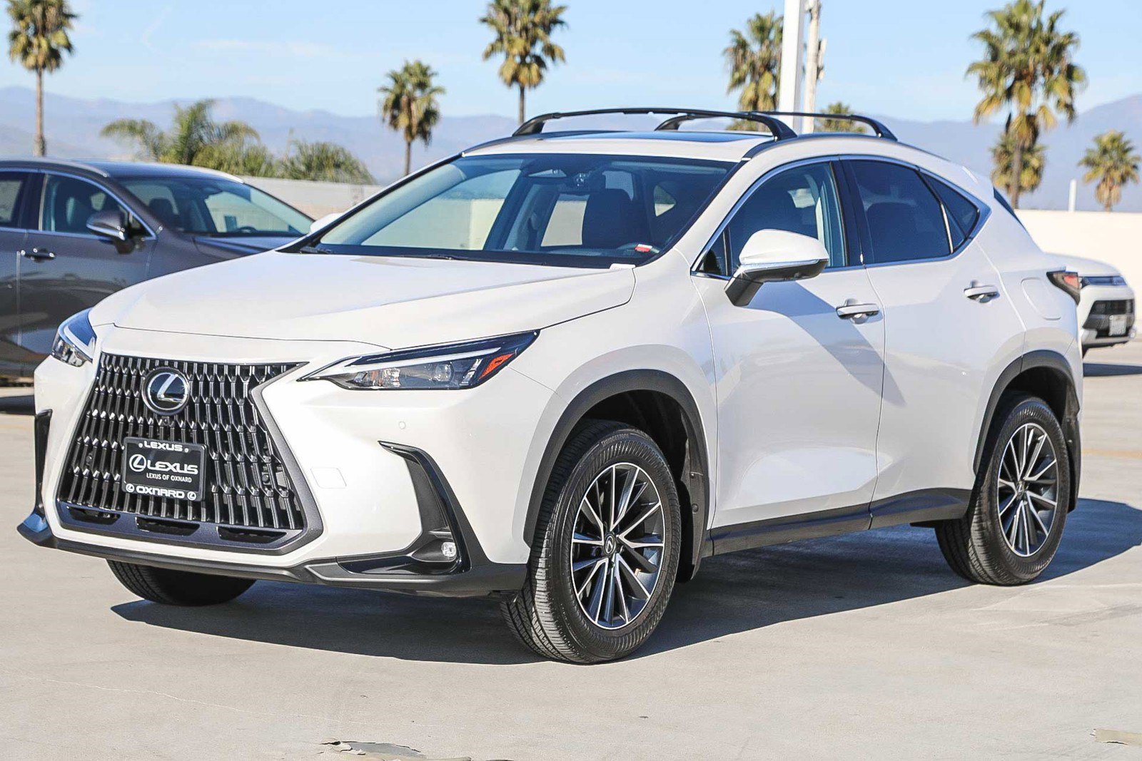 Used 2025 Lexus NX 350h AWD w/ Premium Package image 3