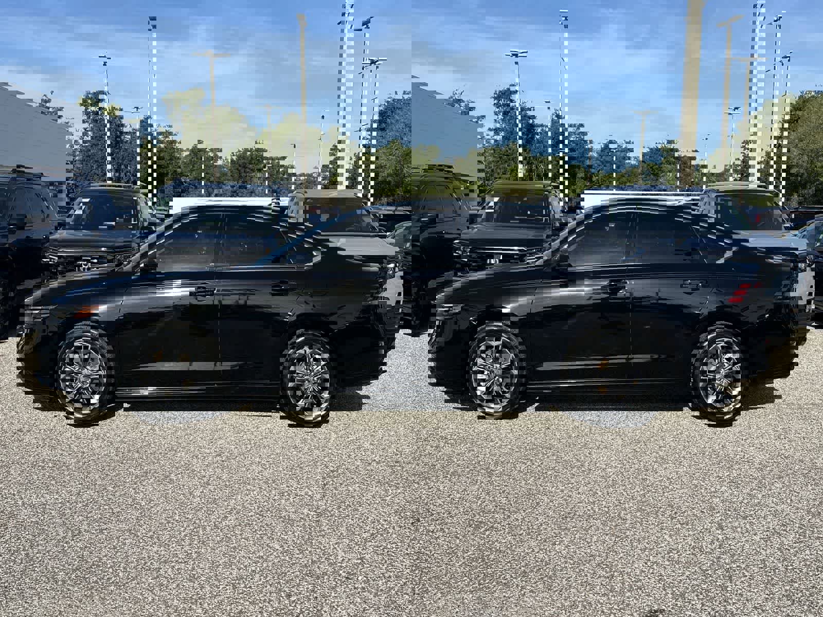 Used 2024 Honda Accord EX-L image 4