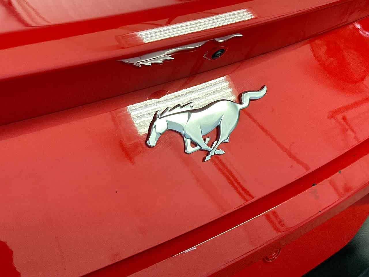 Used 2026 Ford Mustang Premium RWD image 10