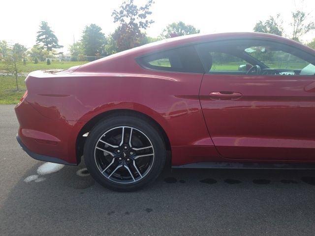 Used 2023 Ford Mustang Coupe w/ Equipment Group 101A RWD image 7