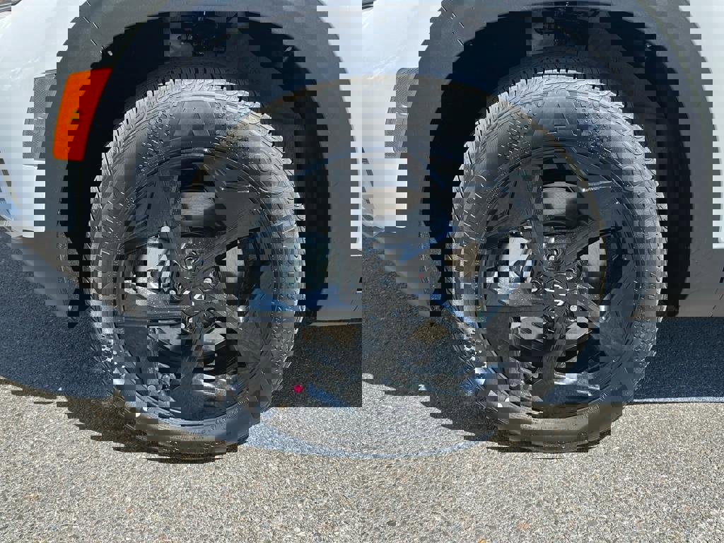 New 2026 Kia Seltos EX w/ EX Sunroof Package AWD/4WD image 9