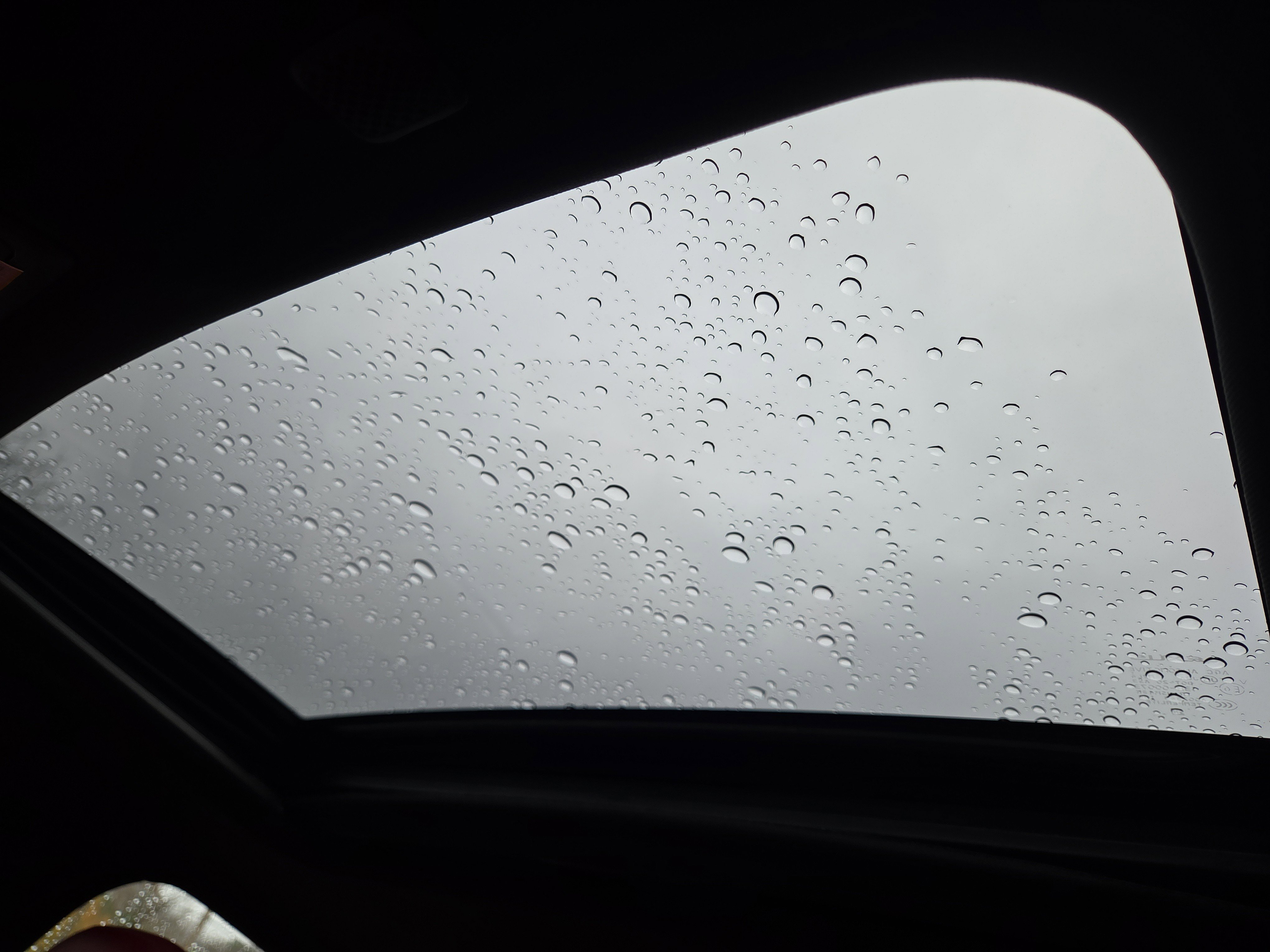 Certified 2025 Lexus IS 350 F Sport image 24