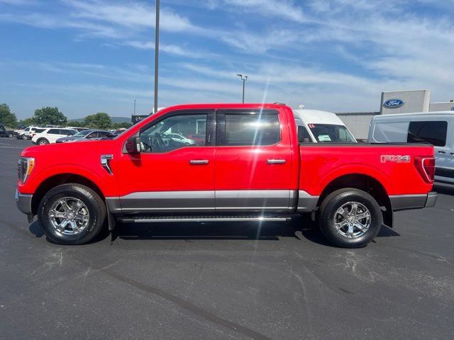 Used 2021 Ford F150 XLT w/ Equipment Group 302A High AWD/4WD image 4