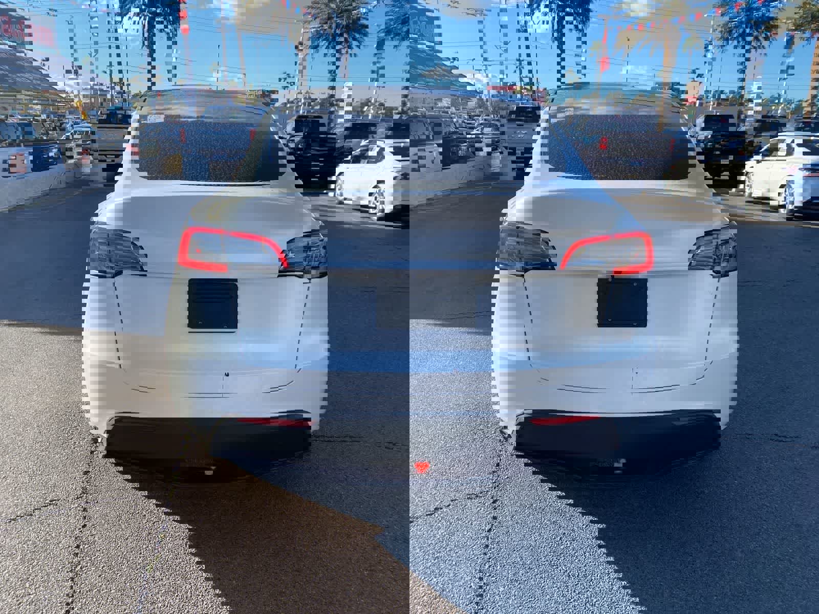 Used 2025 Tesla Model Y Long Range image 7