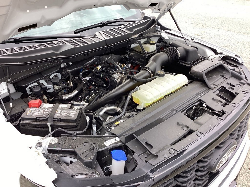 New 2024 Ford F150 STX w/ STX Black Appearance Package image 17