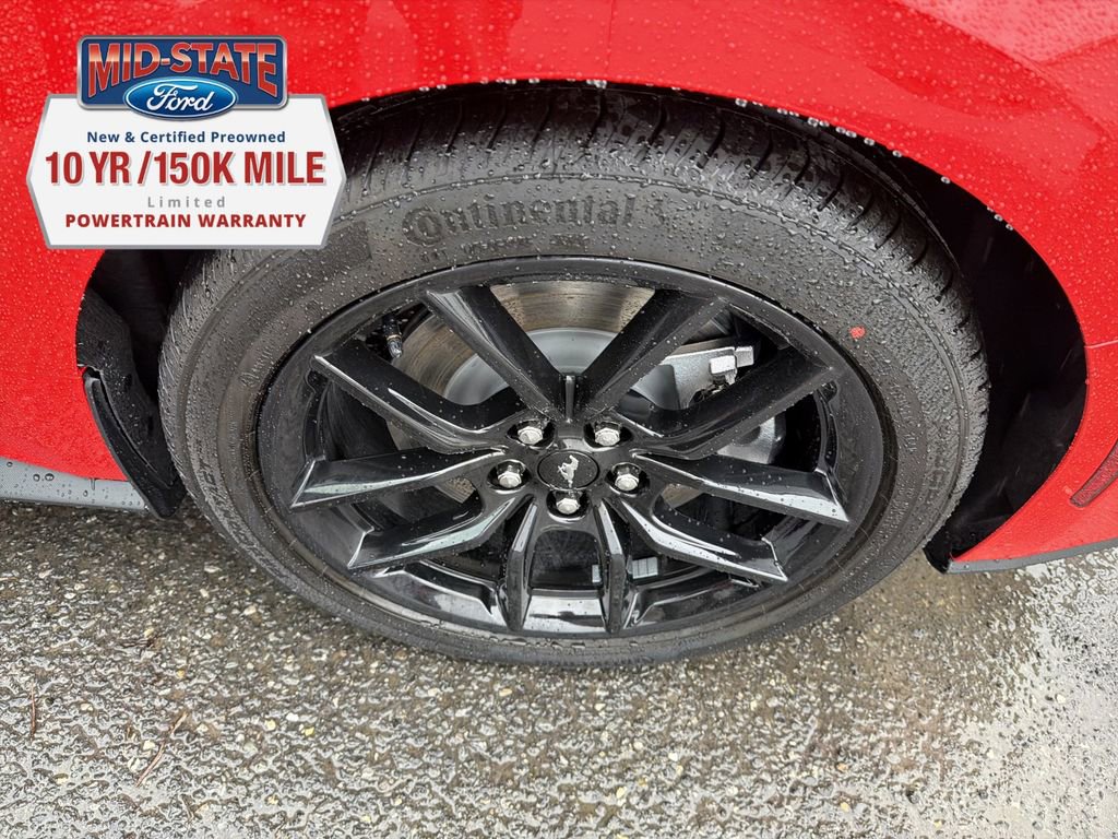 New 2026 Ford Mustang GT Premium w/ Mustang Nite Pony Package image 12